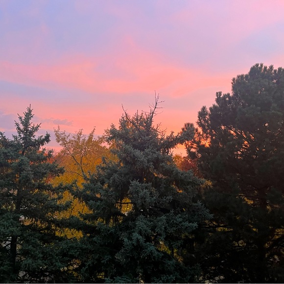 Meet your Posher, Silly - Picture 1 of 1